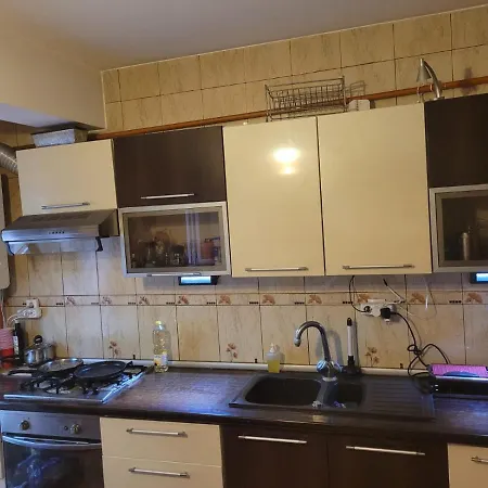 Spacious Buna Ziua Apartment Appartement *